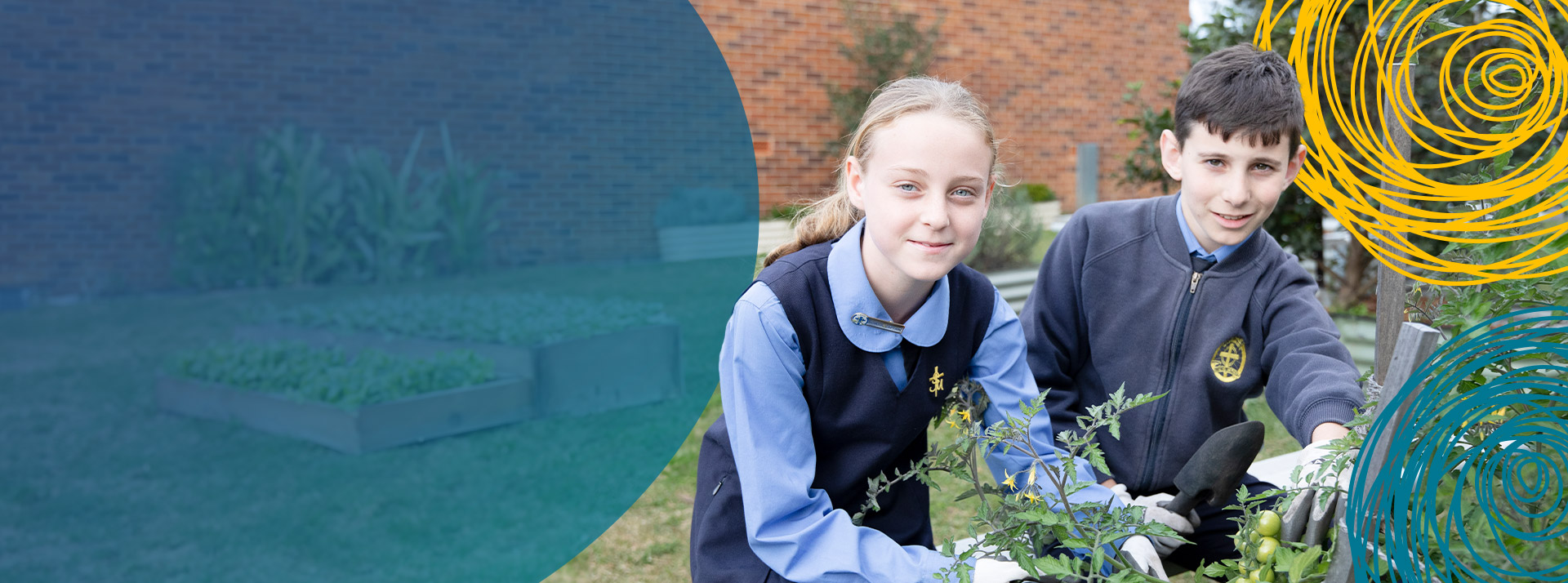 Planting seeds for future success