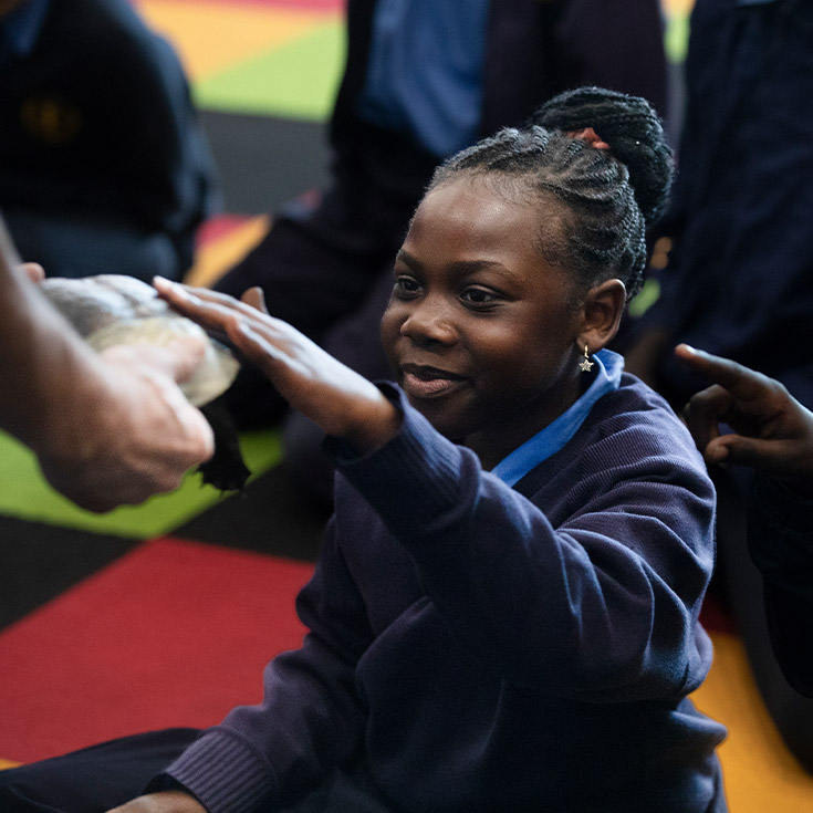 Student petting a turtle at St Michael's Primary School Blacktown South