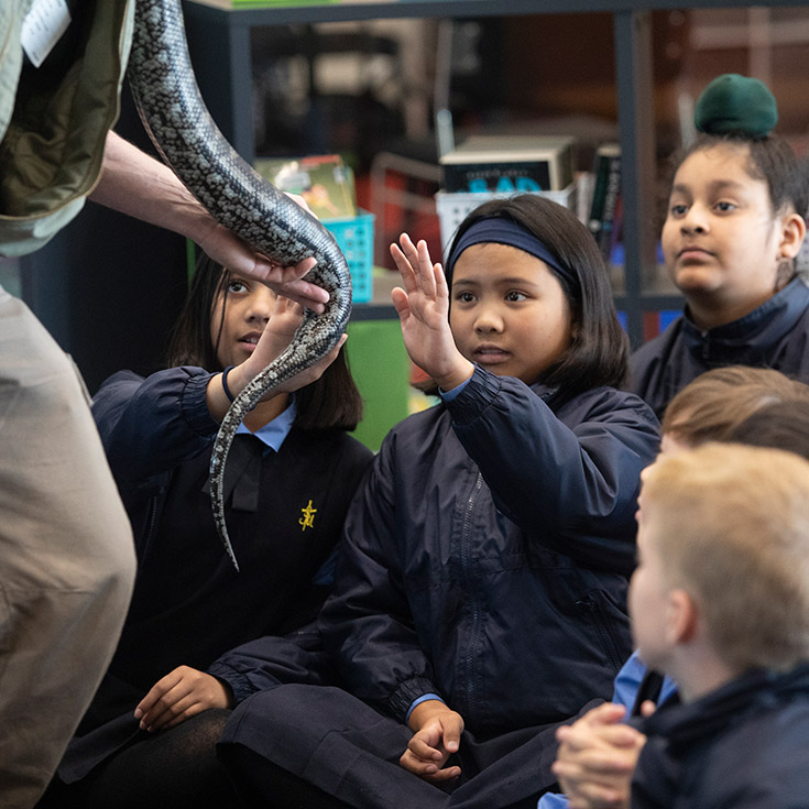 St Michael's Primary School Blacktown South students petting reptiles