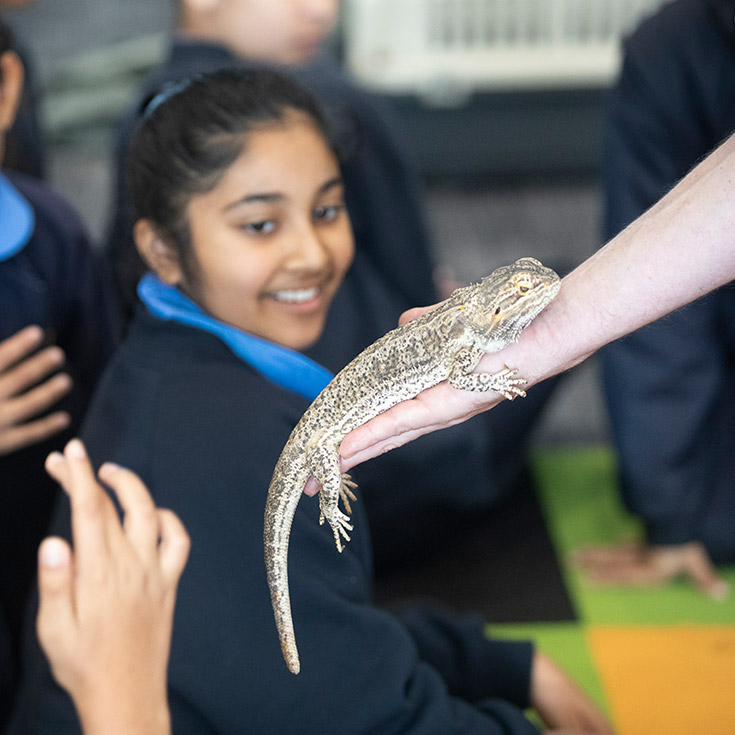 Students petting a lizard during an incursion at St Michael's Primary School Blacktown South