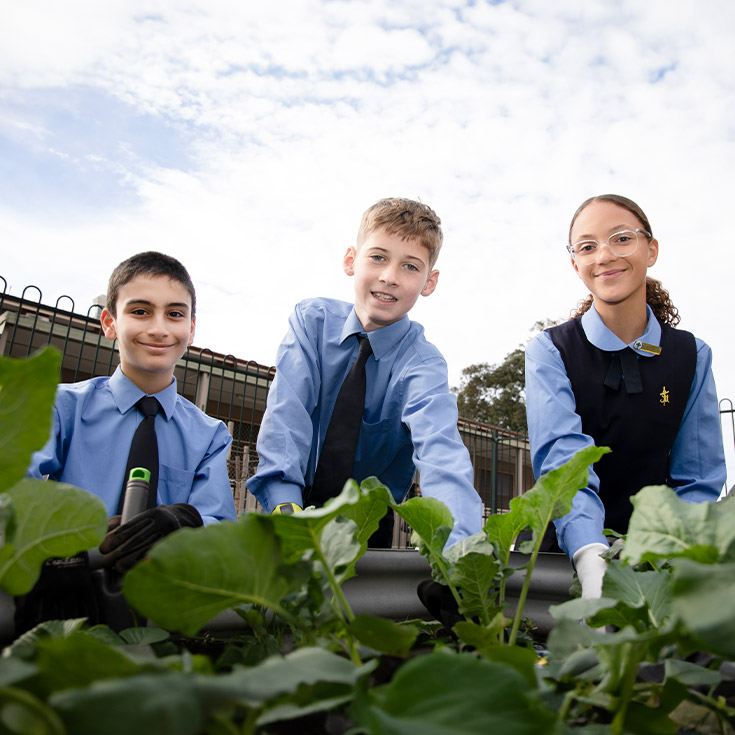 Students tending the school garden at St Michael's Primary School Blacktown South
