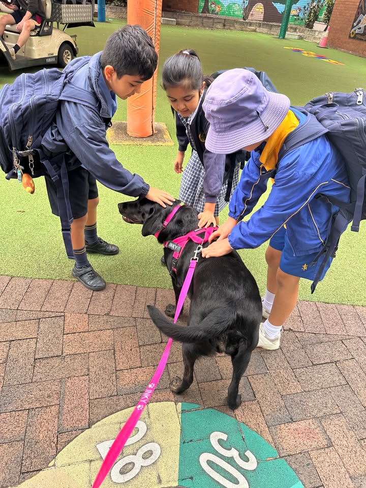 748359447291809_1482889803838766-1