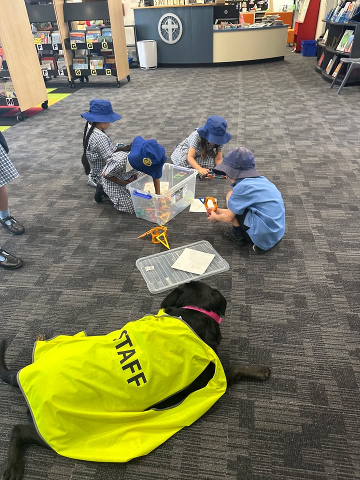 748359447291809_1521598566634556-1