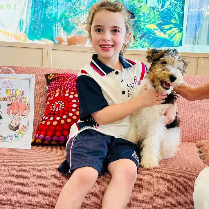 748359447291809_1527030419424704-1